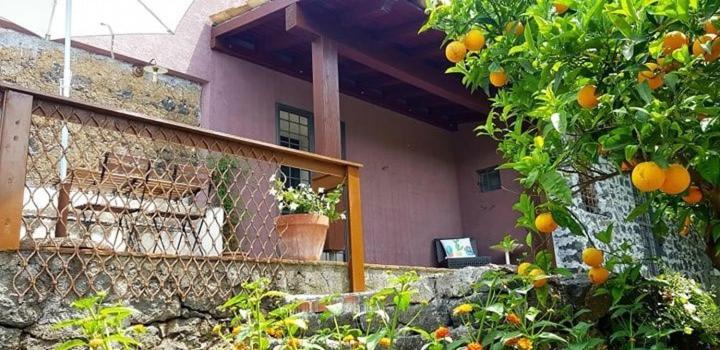 Villa L'Aranceto à Acireale Extérieur photo