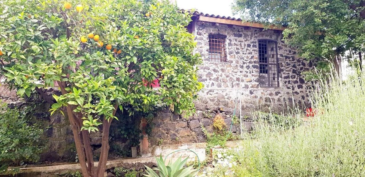 Villa L'Aranceto à Acireale Extérieur photo